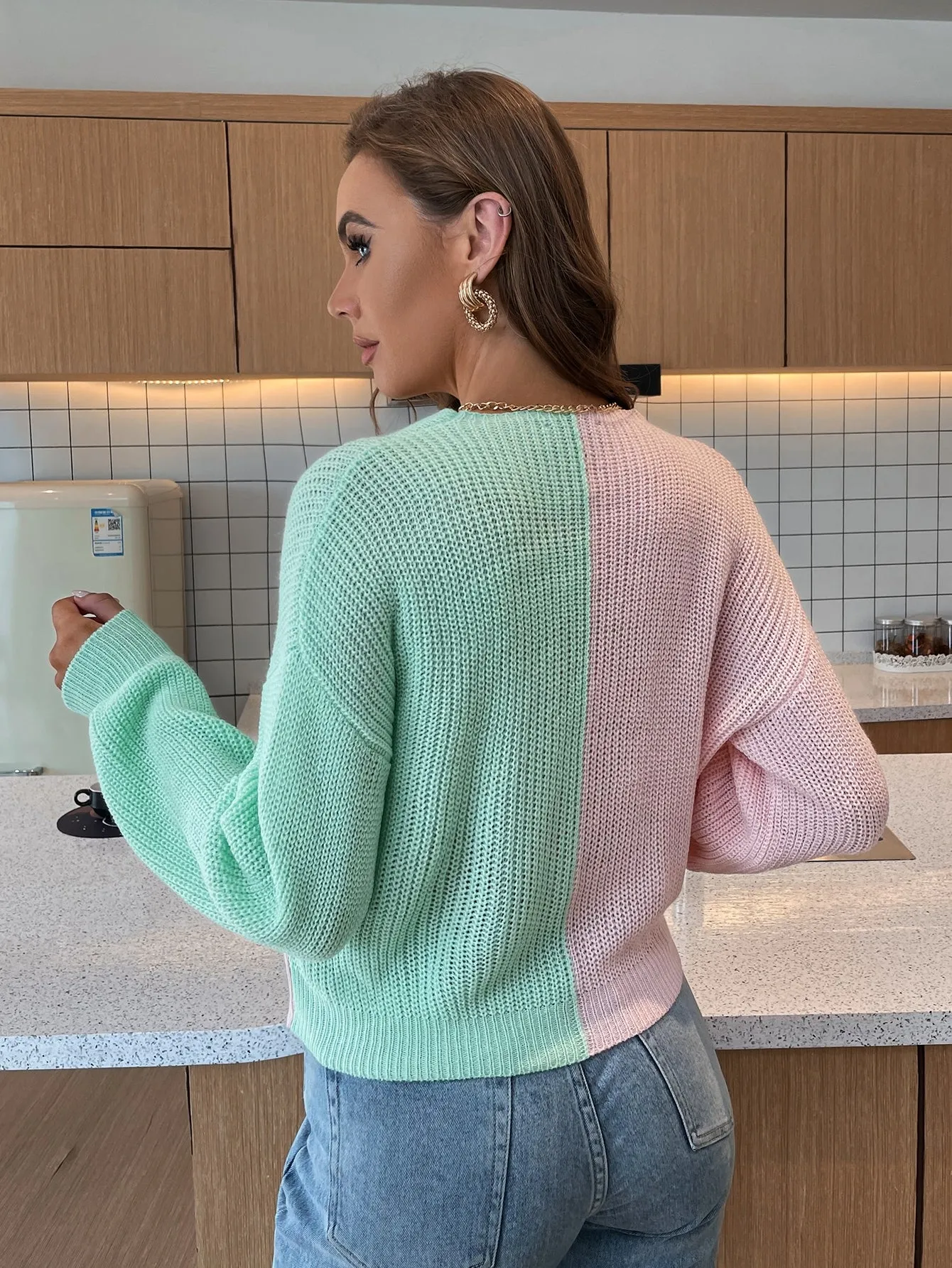Casual Colorblock Rib-Knit Long Sleeve V Neck Regular Women Sweater