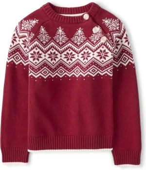 Gymboree Boys' and Toddler Long Sleeve Crew Neck Pullover Sweater