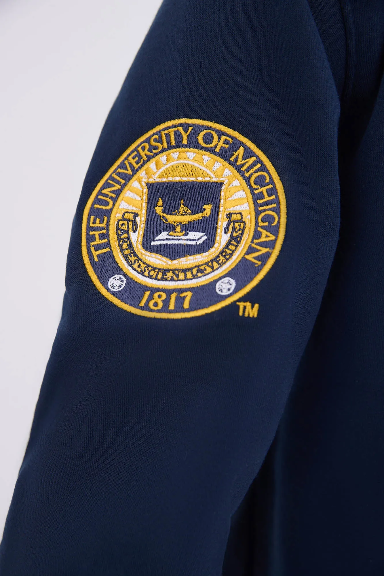 Michigan M Graphic Hoodie